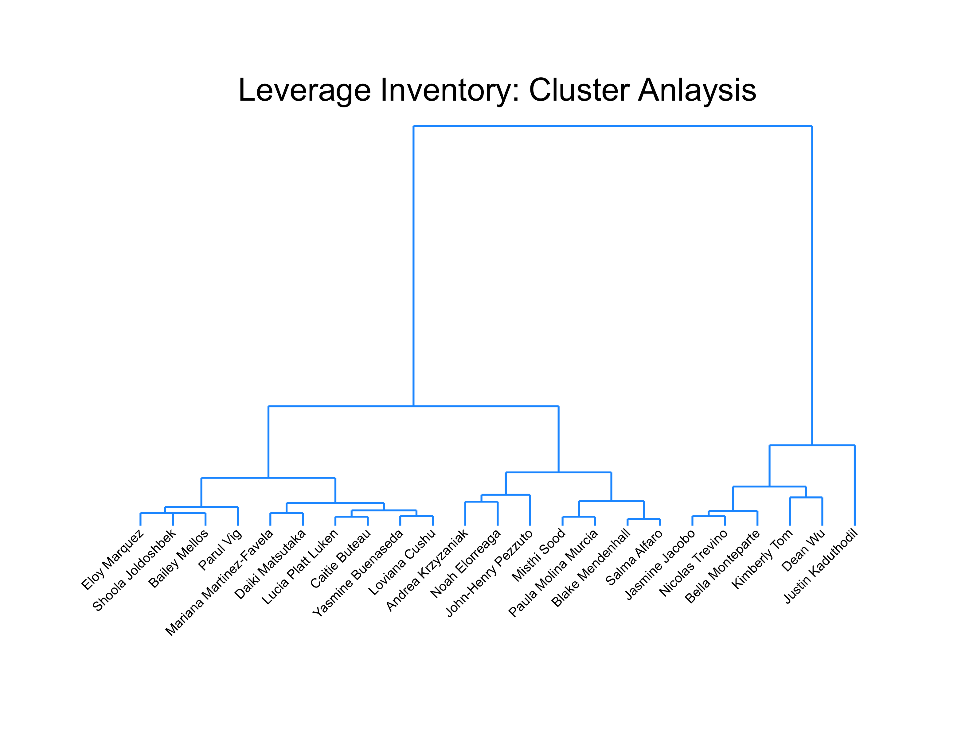 LI cluster analysis
